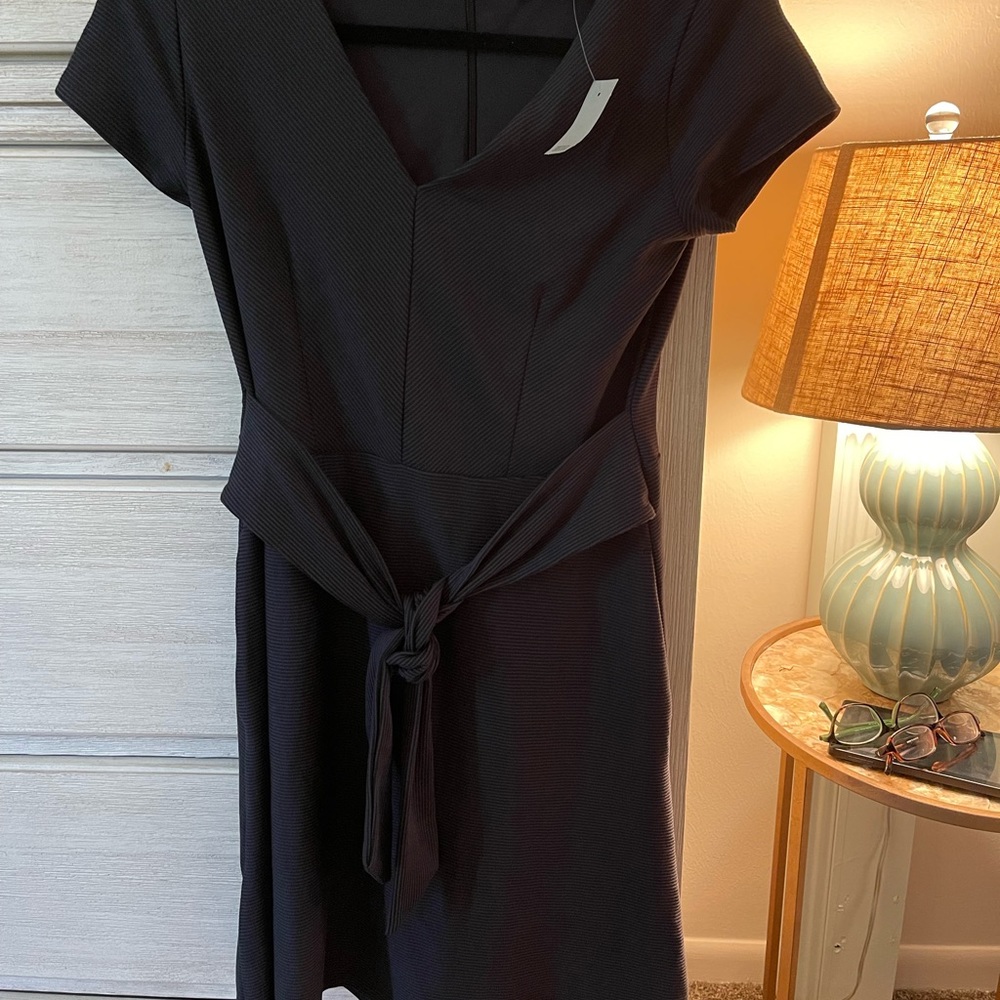 Loft NWT 4p dress
